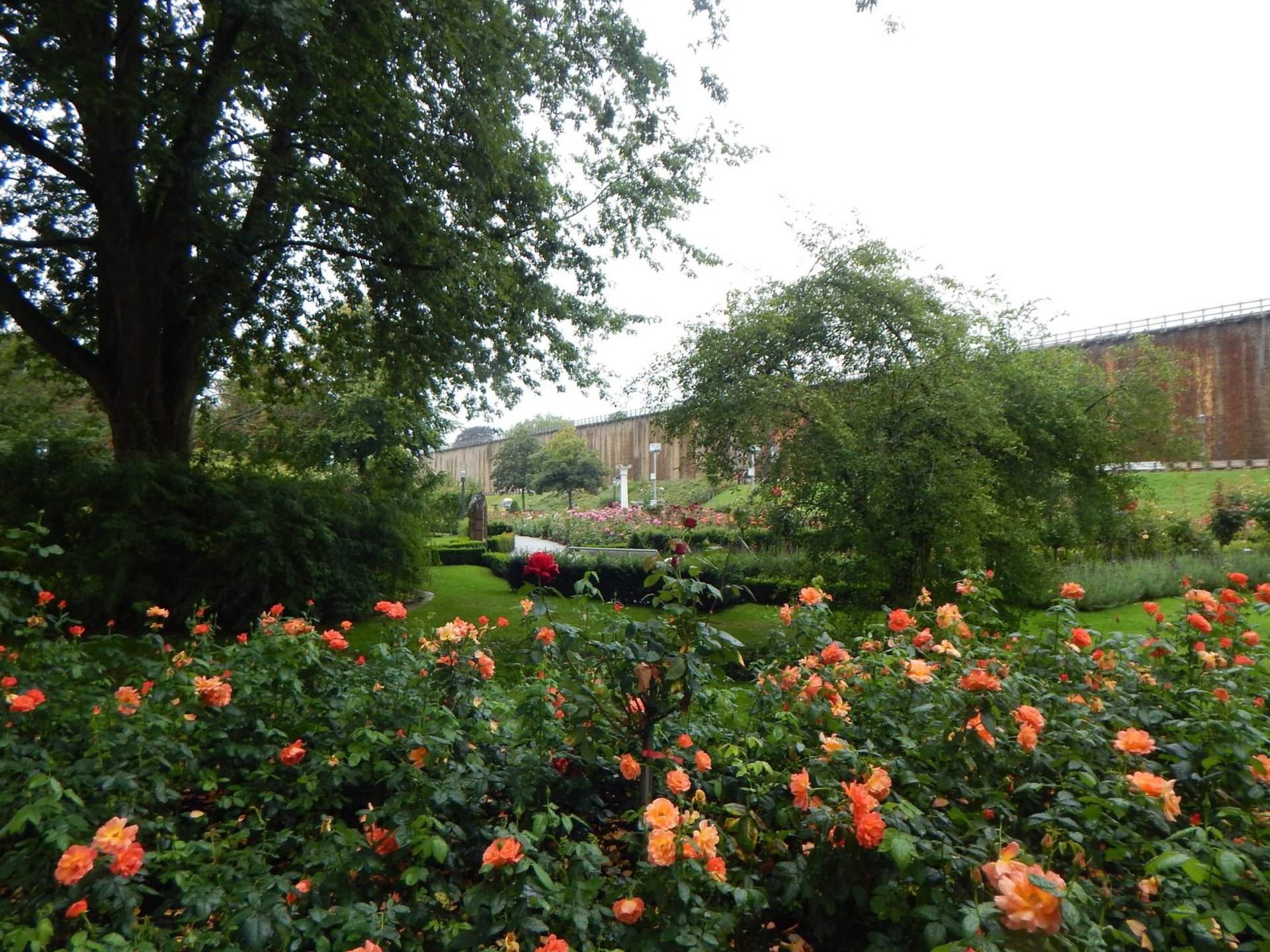 Foto: Rosengarten mit Blick auf das neue Gradierwerk