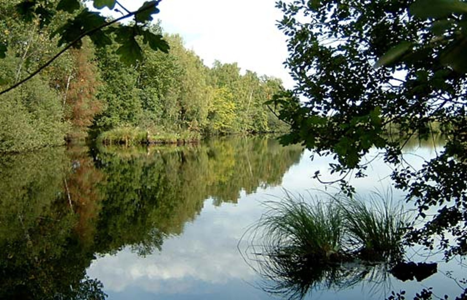 Foto: Lübbecke Moor