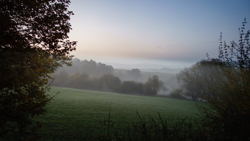 Foto: Schotten Foto: Schotten