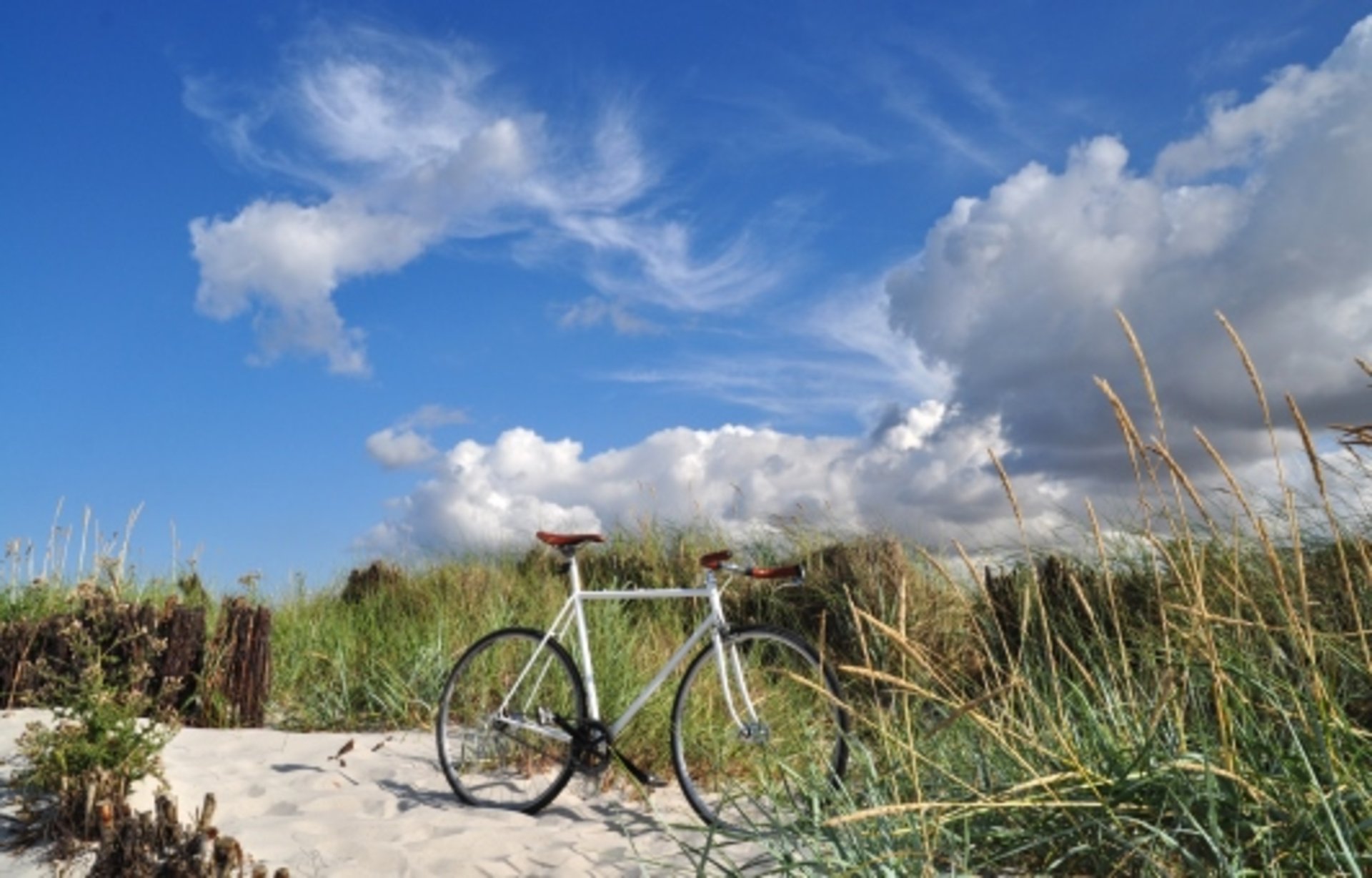 Foto: Kiel Strand Foto: Kiel Rathaus