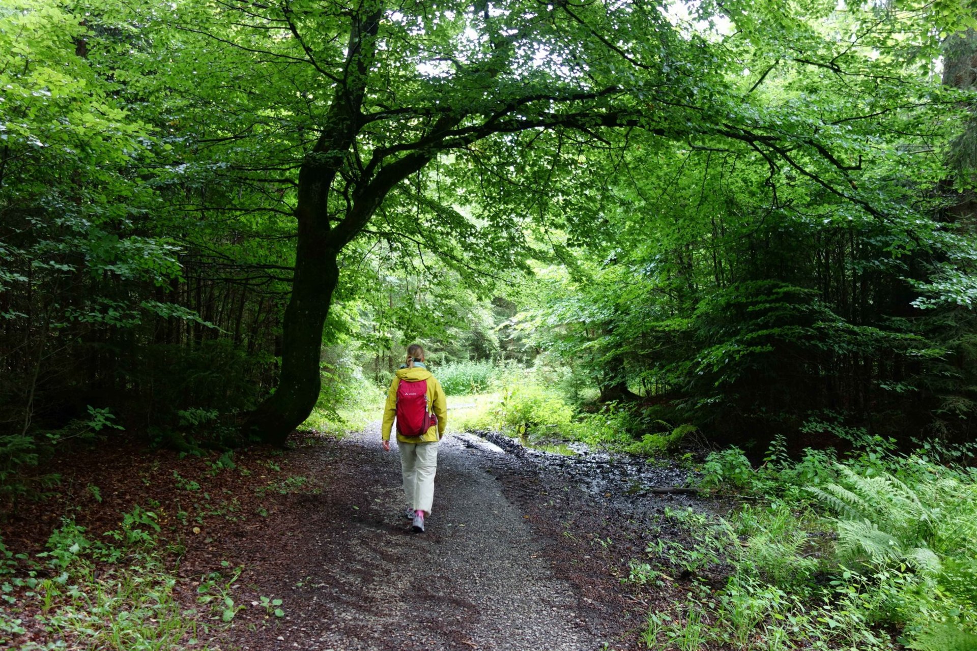 Foto: Höhenrundweg Foto: Höhenrundweg