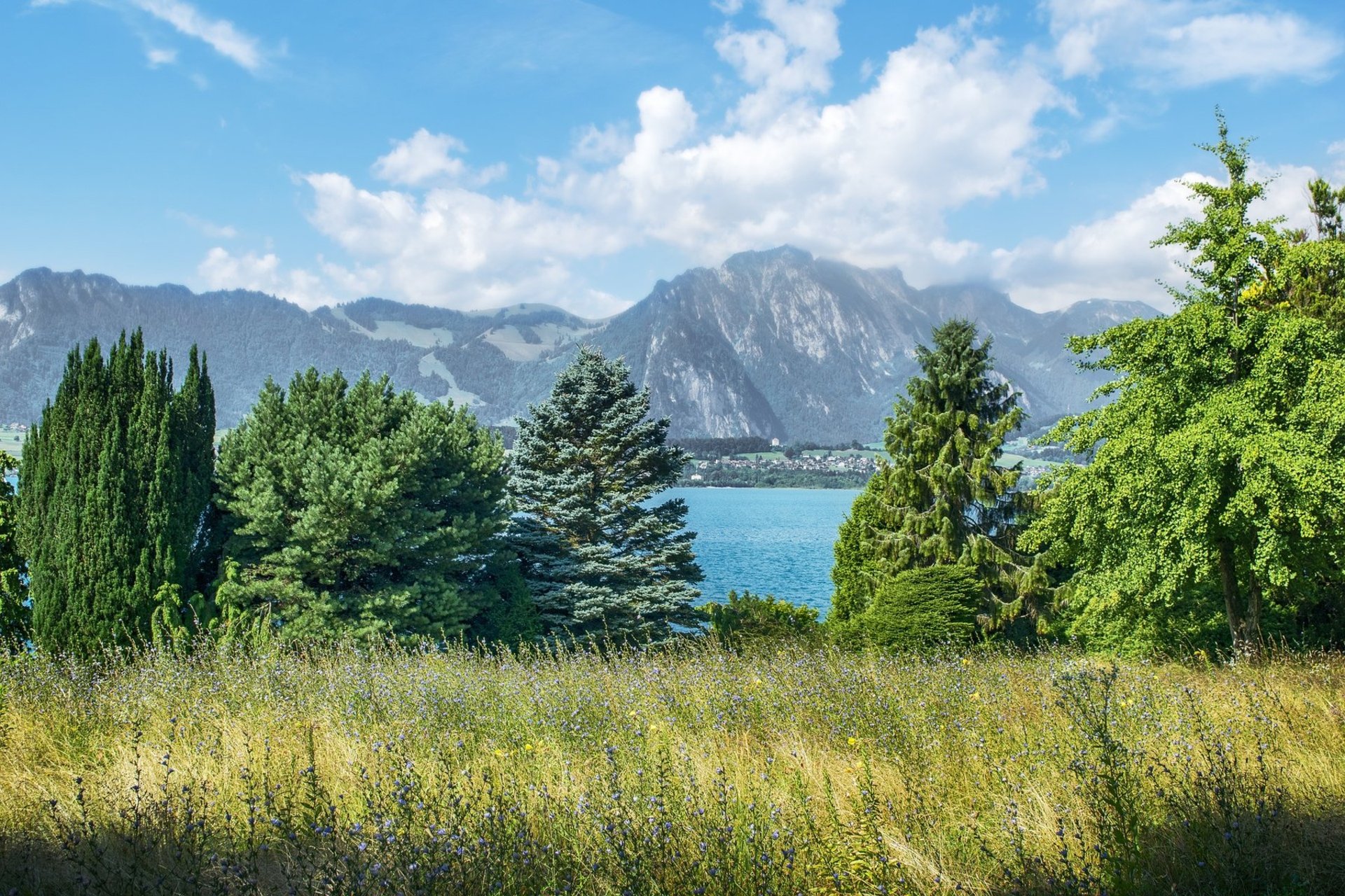 Foto: Berge und Wiese
