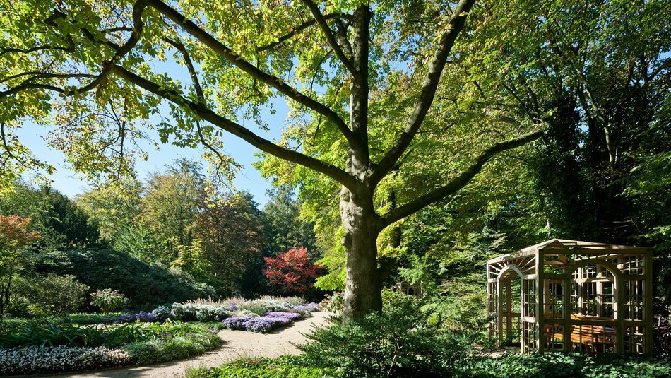 Foto: Botanischer Garten Gütersloh Foto: Botanischer Garten Gütersloh