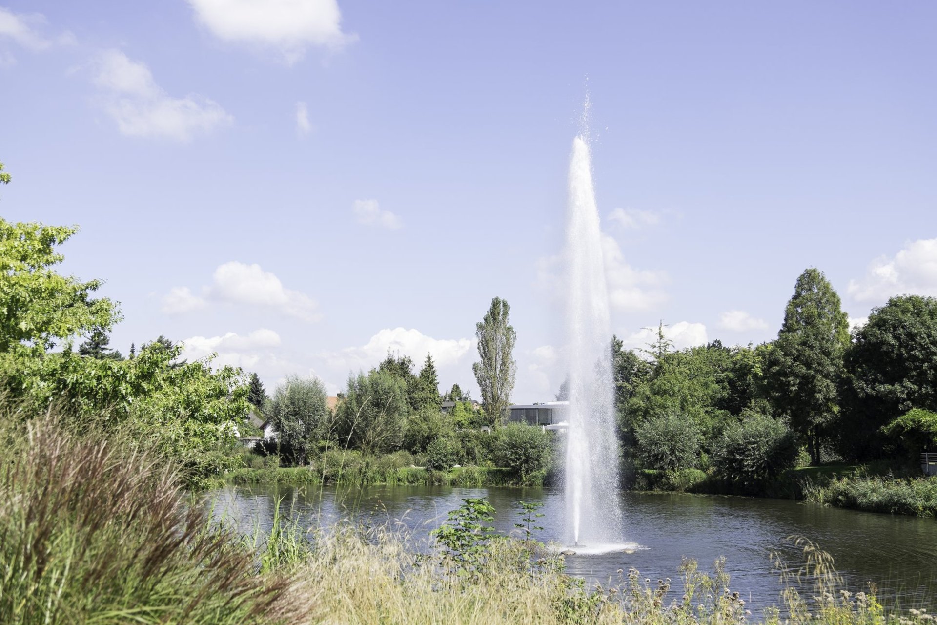Foto: Emssee im Florapark